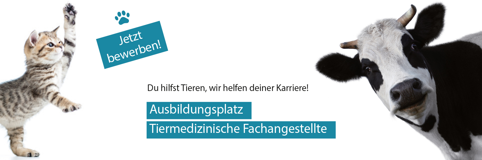 Azubi_Tiermedizinischer Fachangestellter