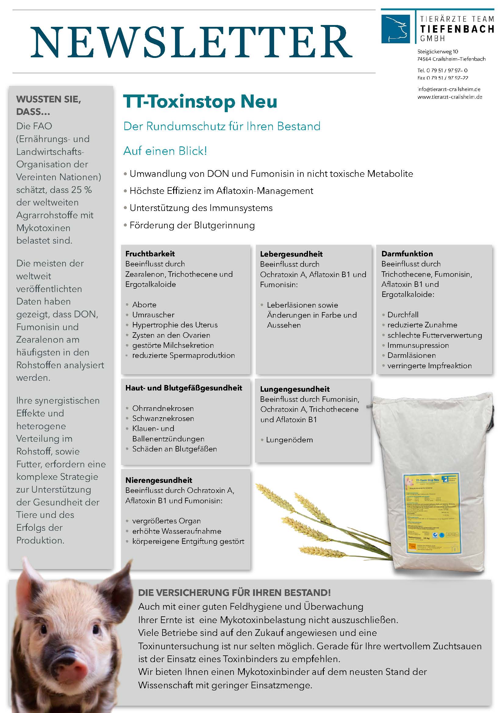TTT Flyer 07 2020 Mycotoxine Seite 2