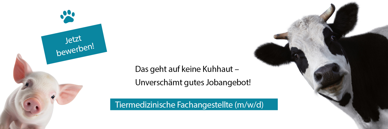 Tiermedizinischer Fachangestellter
