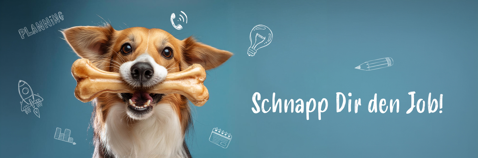Ein fr&ouml;hlicher Hund mit einem gro&szlig;en Knochen im Maul schaut direkt in die Kamera. Um ihn herum sind gezeichnete Symbole wie eine Gl&uuml;hbirne, ein Telefon, ein Kalender und eine Rakete zu sehen. Rechts im Bild steht in verspielter Schrift: &bdquo;Schnapp Dir den Job!&ldquo;
