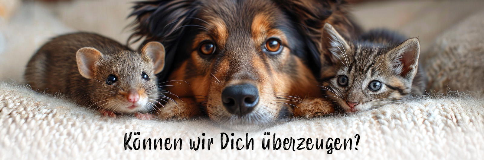 Ein Hund liegt in der Mitte zwischen einer kleinen Maus links und einem jungen Kätzchen rechts – alle drei schauen direkt in die Kamera. Darunter steht in schwarzer, handschriftlicher Schrift: „Können wir Dich überzeugen?“