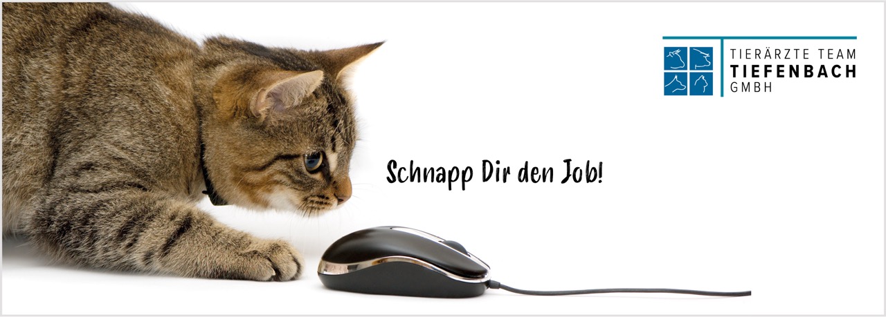 Schweinetierarzt